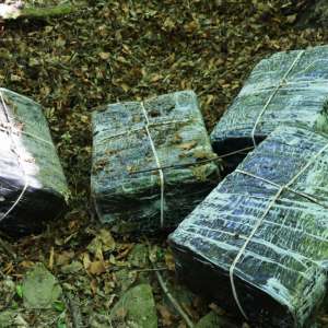 Percheziții în Maramureș într-un dosar de contrabandă: țigări camuflate în vegetație și mobilier
