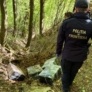 Percheziții în Maramureș într-un dosar de contrabandă: țigări camuflate în vegetație și mobilier