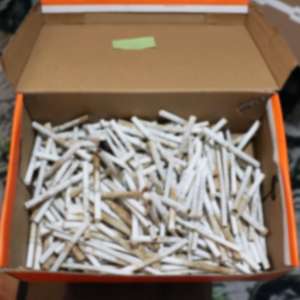 Percheziții în Maramureș într-un dosar de contrabandă: țigări camuflate în vegetație și mobilier