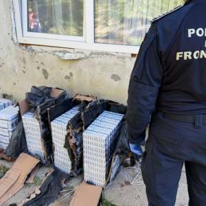 Percheziții în Maramureș într-un dosar de contrabandă: țigări camuflate în vegetație și mobilier