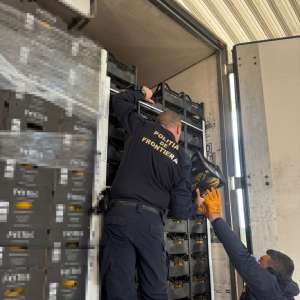 Captură uriașă a polițiștilor de frontieră de la Giurgiu: peste 7 milioane de țigarete, în valoare de peste 2 milioane de euro, ascunse într-un transport de citrice