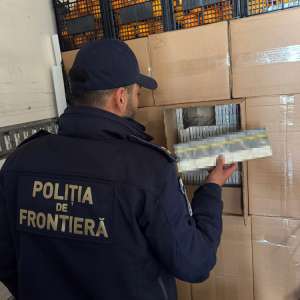 Captură uriașă a polițiștilor de frontieră de la Giurgiu: peste 7 milioane de țigarete, în valoare de peste 2 milioane de euro, ascunse într-un transport de citrice