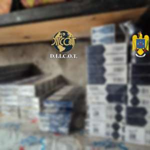 137 de percheziții într-o cauză privind fapte de contrabandă, corupție și criminalitate organizată. Poliția de Frontieră sprijină ancheta și susține măsuri ferme împotriva oricăror abateri de la lege