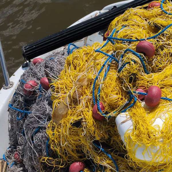 Acțiune a Gărzii de Coastă pentru combaterea braconajului piscicol pe fluviul Dunărea