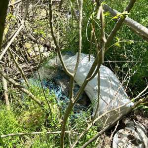 Acțiune a Gărzii de Coastă pentru combaterea braconajului piscicol pe fluviul Dunărea