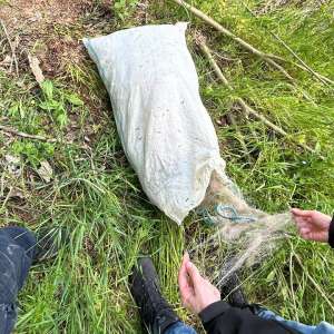 Acțiune a Gărzii de Coastă pentru combaterea braconajului piscicol pe fluviul Dunărea