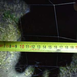 Acțiuni ale polițiștilor de frontieră pentru combaterea braconajului piscicol: peste 200 kilograme de pește, mii de metri de plase de pescuit, două ambarcațiuni, descoperite
