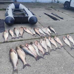 Acțiuni ale polițiștilor de frontieră pentru combaterea braconajului piscicol: peste 200 kilograme de pește, mii de metri de plase de pescuit, două ambarcațiuni, descoperite
