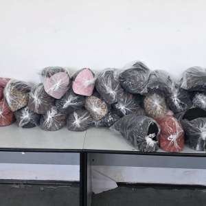 Peste 4.200 de produse susceptibile a fi contrafăcute și peste 30.000 de țigarete cu timbru bulgăresc, descoperite de polițiștii de frontieră în cadrul acțiunii CLEAN BORDER III SUD