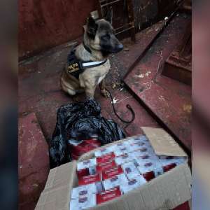 Polițiștii de frontieră constănțeni au descoperit peste 6.000 de pachete de țigări fără timbru fiscal