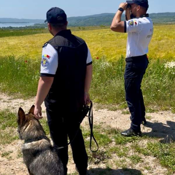 Măsuri suplimentare dispuse de ITPF Timișoara la frontieră &icirc;n minivacanța de Rusalii și Ziua Copilului