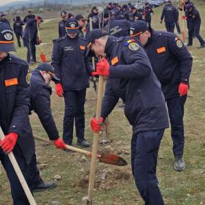 Plantăm speranță - o pădure de la zero