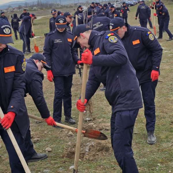 Plantăm speranță - o pădure de la zero