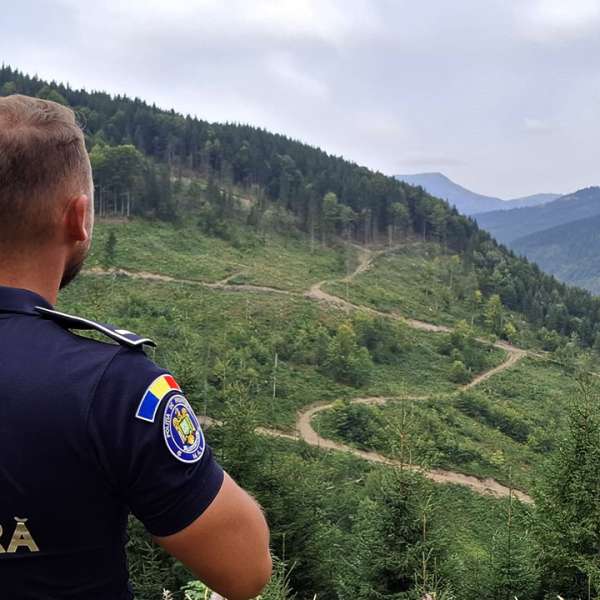Rezultate &icirc;nregistrate la frontieră &icirc;n ultimele 24 de ore