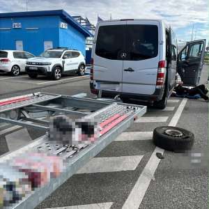 Aproximativ 10.000 de țigarete ascunse în bagaje și într-o roată de rezervă, descoperite de polițiștii de frontieră