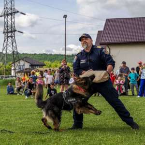 Cum a cucerit Poliția de Frontieră inimile noii generații la ITPF Iași