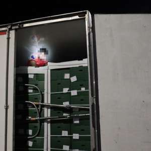 Polițiștii de frontieră au descoperit un cetățean turc ascuns într-un transport de pepeni