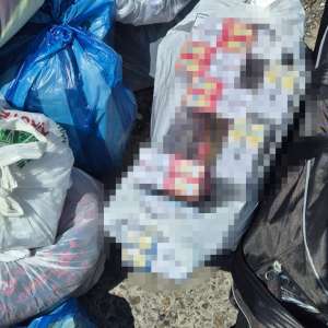 Țigarete în valoare de peste 51.000 de lei, descoperite de polițiștii de frontieră giurgiuveni