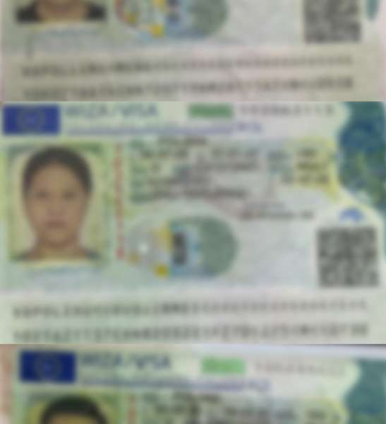 Trei cetățeni chinezi depistați la PTF Stamora-Moravița cu vize false