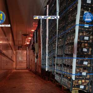 GRUP INFRACȚIONAL ORGANIZAT SPECIALIZAT ÎN TRAFICUL ILEGAL DE ȚIGARETE, DESTRUCTURAT DE POLIȚIȘTII DE FRONTIERĂ