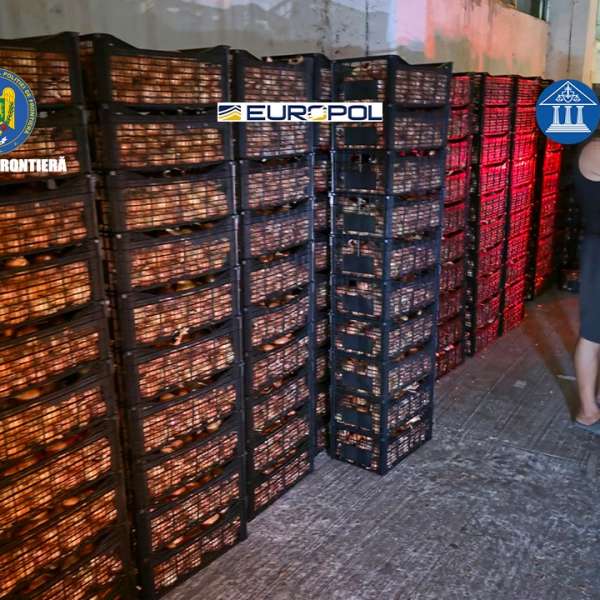 Organized crime group specializing in illegal cigarette trafficking dismantled by border police officers