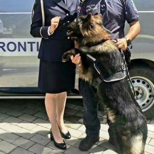 Sub semnul excelenței și al camaraderiei: Ziua Poliției de Frontieră Române, marcată cu emoție la ITPF Iași