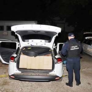 100.000 de țigarete de contrabandă, descoperite de polițiștii de frontieră ieșeni