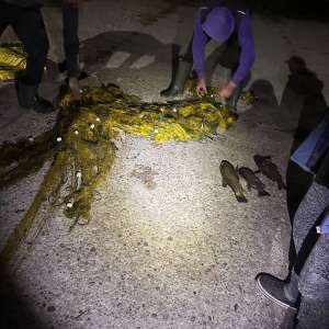 Peste 70 de kilograme de pește și aproximativ 320 de metri de plase de pescuit, ridicate de polițiștii de frontieră în urma unor acțiuni pentru combaterea braconajului piscicol