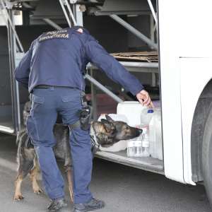 Șeful U.S. Border Patrol, în vizită oficială la Poliția de Frontieră Română