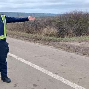 Conducere fără permis şi încredinţare, isprava unui tată și fiu