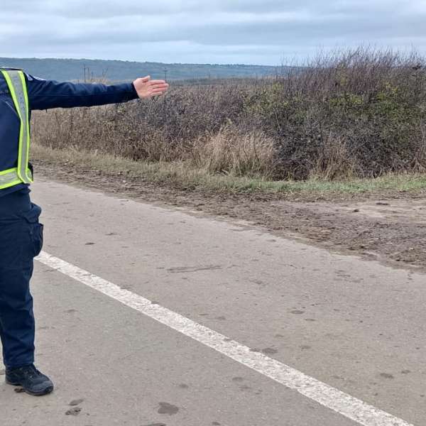 Conducere fără permis şi încredinţare, isprava unui tată și fiu